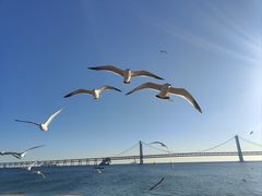 -星海广场