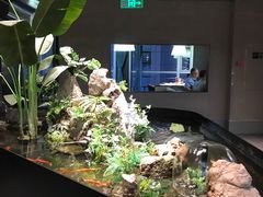 -映像威海·威海宴(威高广场店)