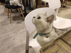 -小时光咖啡馆(北锣鼓巷店)