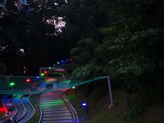 -圣淘沙天际线斜坡滑车