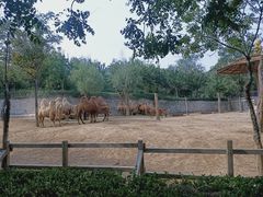 -石家庄市动物园