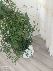 -HEYAN荷妍专业脱毛连锁机构
