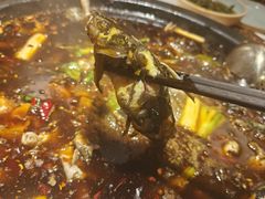 -费明中罗非鱼(大石坝店)