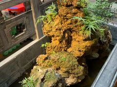 -缘来聚·徽菜名店(黄山宏村店)