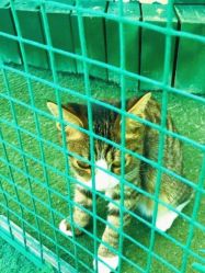 -萌宠亲子动物乐园(槐房万达店)