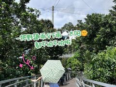 -新加坡飞禽公园