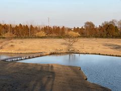 -溱湖国家湿地公园