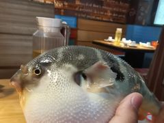 -永安鱼庄·镇江菜(丁卯店)