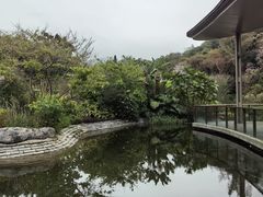 -云溪植物园