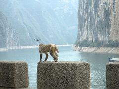-白帝城·瞿塘峡景区