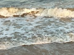 -日照海滨国家森林公园