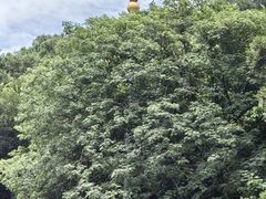 -句容茅山景区