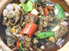 -天宝食坊·啫啫煲大排档(西华路店)