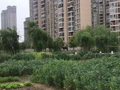 -映月湖中央公园