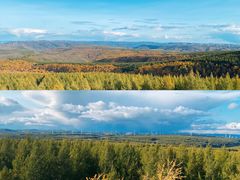 -塞罕坝国家级自然保护区