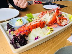 波士顿龙虾-EN SPACE恩空间