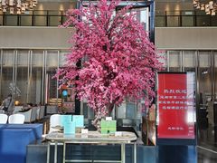 -成都安仁福朋喜来登酒店