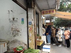 -普宁反沙番薯芋头