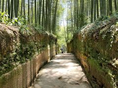 -蜀南竹海景区