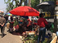 -本溪路花鸟市场(江浦路1709弄小区店)