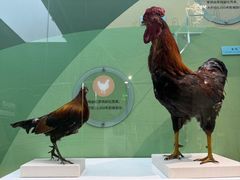 -国家自然博物馆