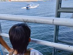 -泰达航母主题公园