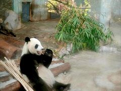 -海南热带野生动植物园