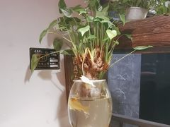 -橦橦小马扎烧烤 (传媒大学店)