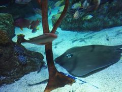 -沈阳海洋探索中心