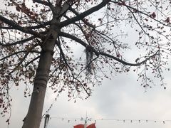-喜洲吧·江畔老船厂·庭院餐厅(喜临院店)