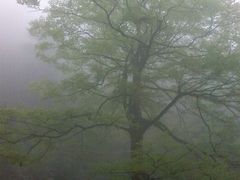 -大明山自然探索公园