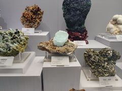 -湖南省地质博物馆