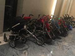 -上海崇明金茂凯悦酒店