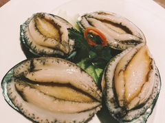 活鲍鱼-协成海鲜火锅(情侣路店)