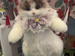 -上海新国际博览中心-P1立体停车场