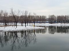 -东郊湿地公园