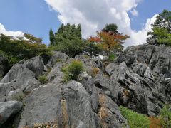 -千岛湖石林