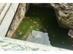-方山风景区定林寺