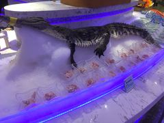 -澜悦港海鲜体验主题餐厅