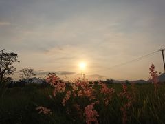-海南霸王岭国家森林公园