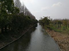 -上海长兴岛郊野公园