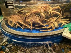 -上和臻品中国菜(花园街店)