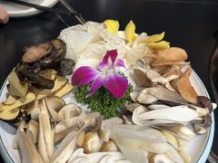 -野菌皇海景野生菌火锅(滨海大道店)