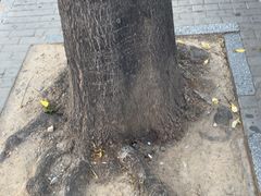 -北京厨房(SKP店)