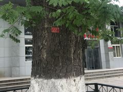 -北大学一食堂