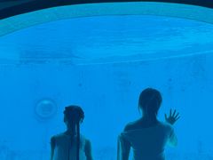 -海合安成都极地海洋公园