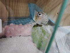 -昆山城市生态森林公园