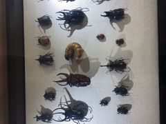 -燕莎友谊商城(亮马桥店)