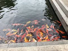 -番禺宾馆丽苑厅