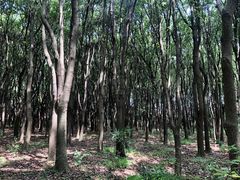 -同里国家湿地公园